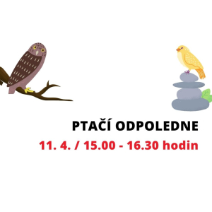 Ptačí odpoledne